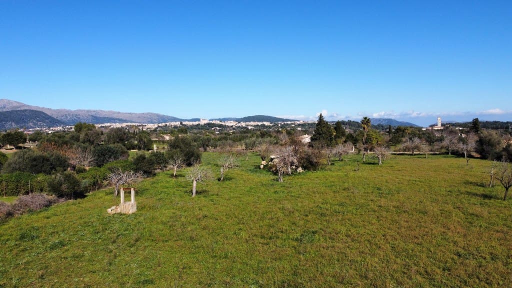 Teren niezagospodarowany na sprzedaż w Selva - 375 000 € (Ref: 7378861)