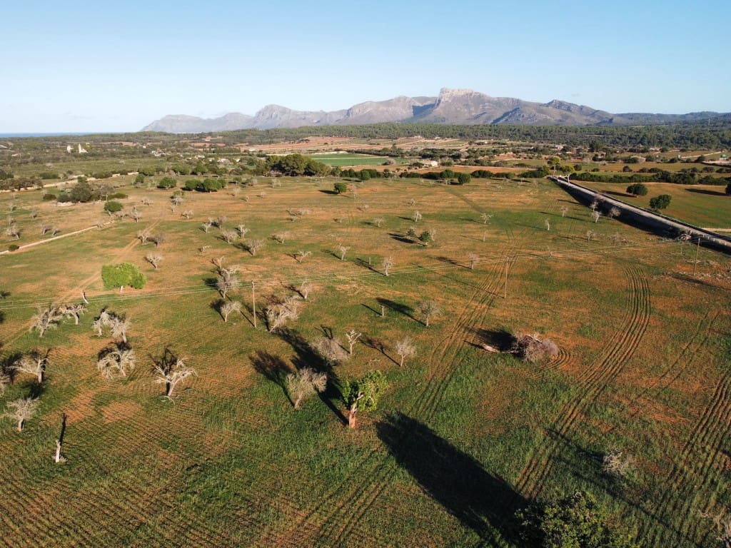 6 chambre Finca/Maison de Campagne à vendre à Son Serra de Marina - 14 700 000 € (Ref: 7976435)