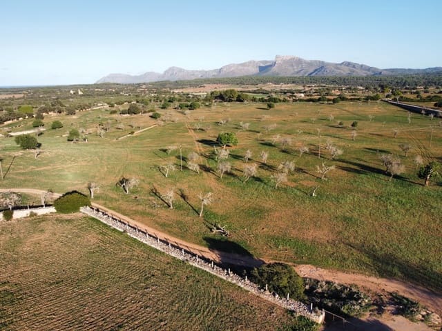 6 chambre Finca/Maison de Campagne à vendre à Son Serra de Marina, Santa Margalida - 14 700 000 € (Ref: 7976435)