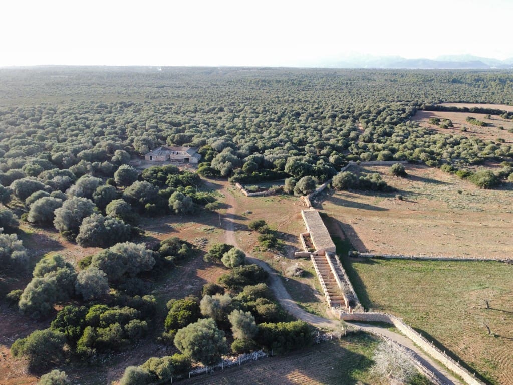 6 chambre Finca/Maison de Campagne à vendre à Son Serra de Marina - 14 700 000 € (Ref: 7976435)