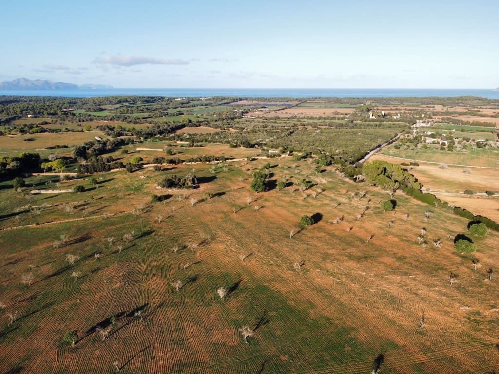 6 chambre Finca/Maison de Campagne à vendre à Son Serra de Marina - 14 700 000 € (Ref: 7976435)