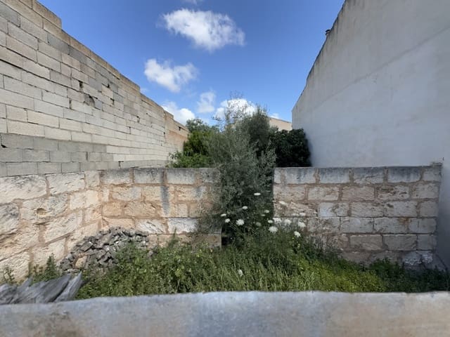 Ubebygd land til salgs i Sa Pobla - € 200 000 (Ref: 8313633)