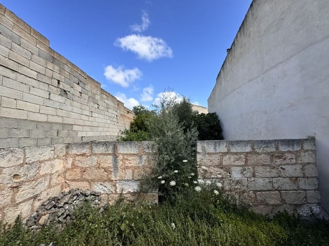 Ubebygd land til salgs i Sa Pobla - € 200 000 (Ref: 8313633)