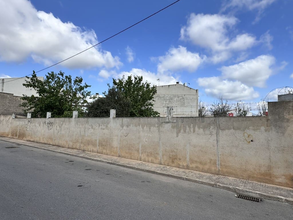 Mark till salu i Sa Pobla - 250 000 € (Ref: 8313634)