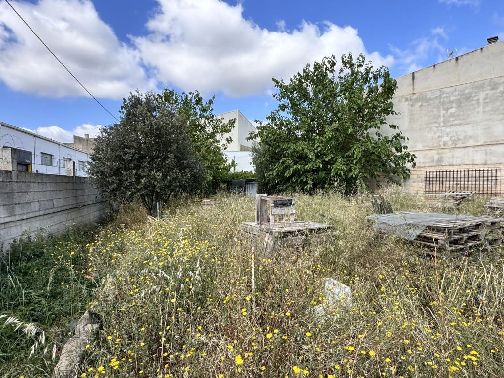 Mark till salu i Sa Pobla - 250 000 € (Ref: 8313634)