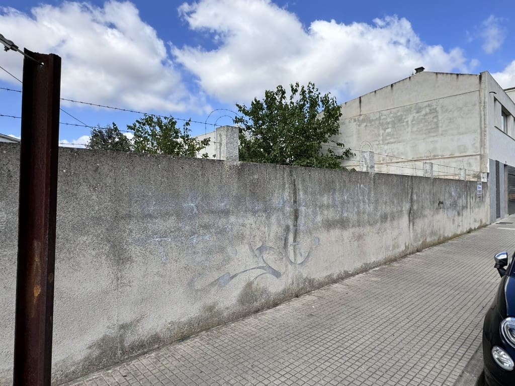 Mark till salu i Sa Pobla - 250 000 € (Ref: 8313634)