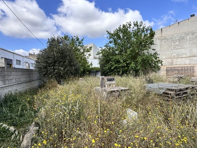 Grond te koop in Sa Pobla - € 250.000 (Ref: 8313634)