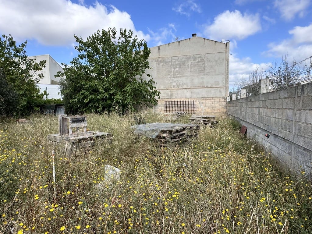 Mark till salu i Sa Pobla - 250 000 € (Ref: 8313634)