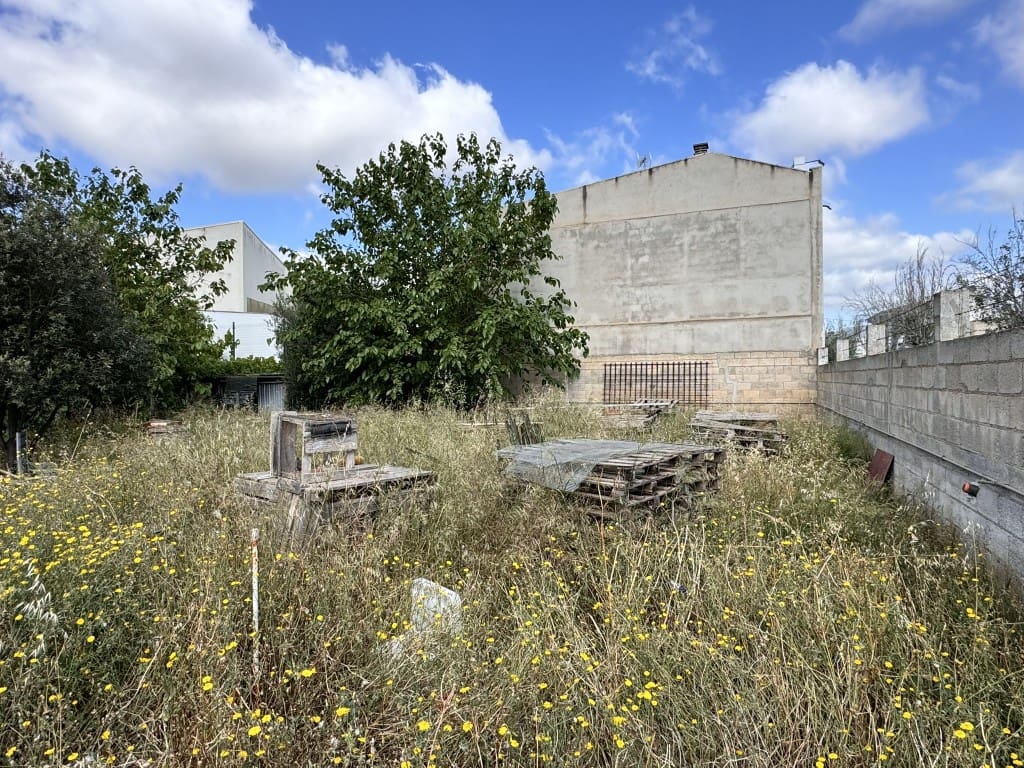 Mark till salu i Sa Pobla - 250 000 € (Ref: 8313634)