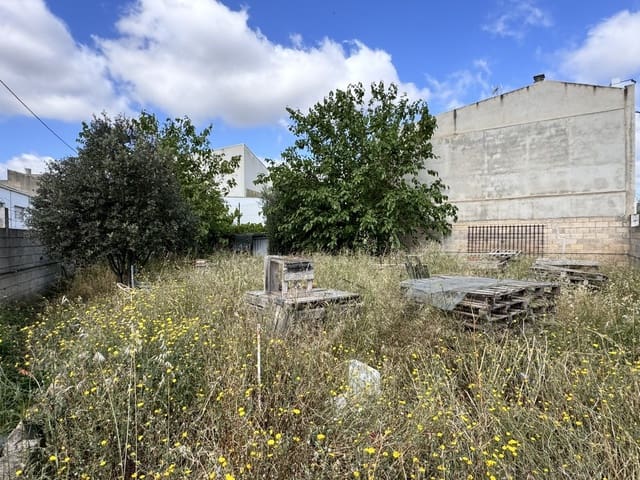 Grond te koop in Sa Pobla - € 250.000 (Ref: 8313634)