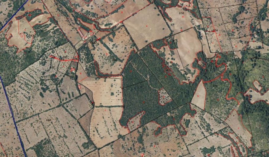 Undeveloped Land for sale in Sant Llorenc des Cardassar - € 2,250,000 (Ref: 8387972)