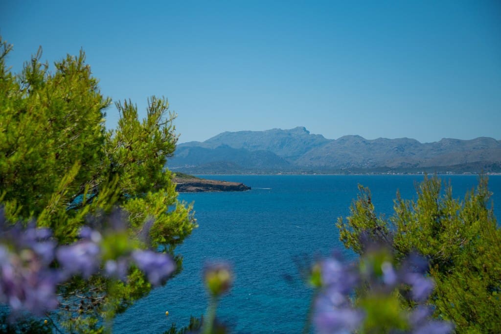 Grunde uden byggetilladelser til salg i Mal Pas-Bon Aire - € 295.000 (Ref: 8703656)