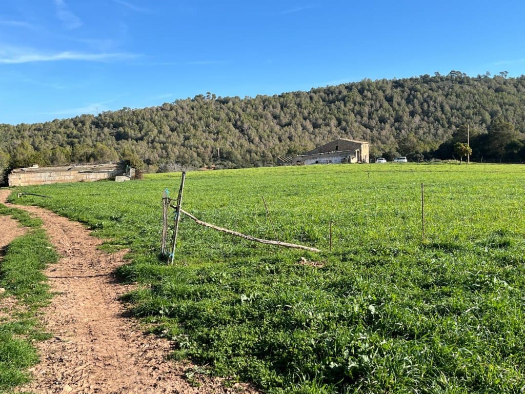 Finca/Herregård til salgs i Arta med garasje - € 639 000 (Ref: 9185439)