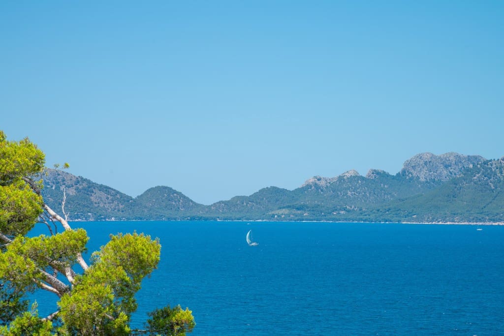 Undeveloped Land for sale in Alcudia - € 200,000 (Ref: 9448627)