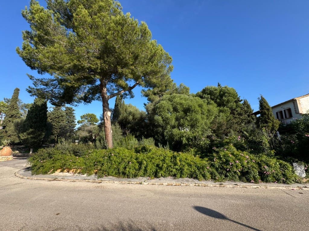 Undeveloped Land for sale in Alcudia - € 200,000 (Ref: 9448627)