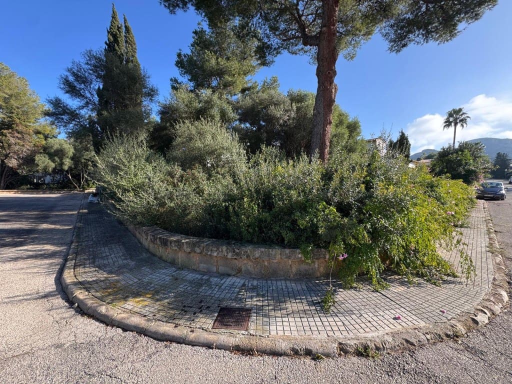 Undeveloped Land for sale in Alcudia - € 200,000 (Ref: 9448627)