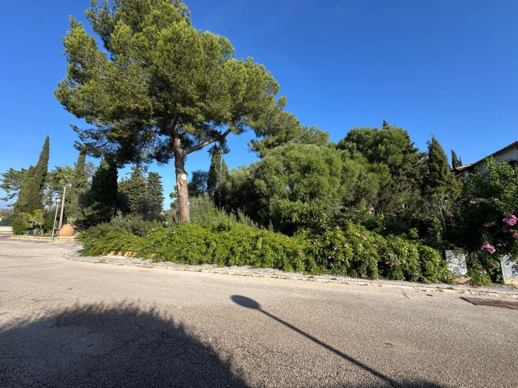 Undeveloped Land for sale in Alcudia - € 200,000 (Ref: 9448627)