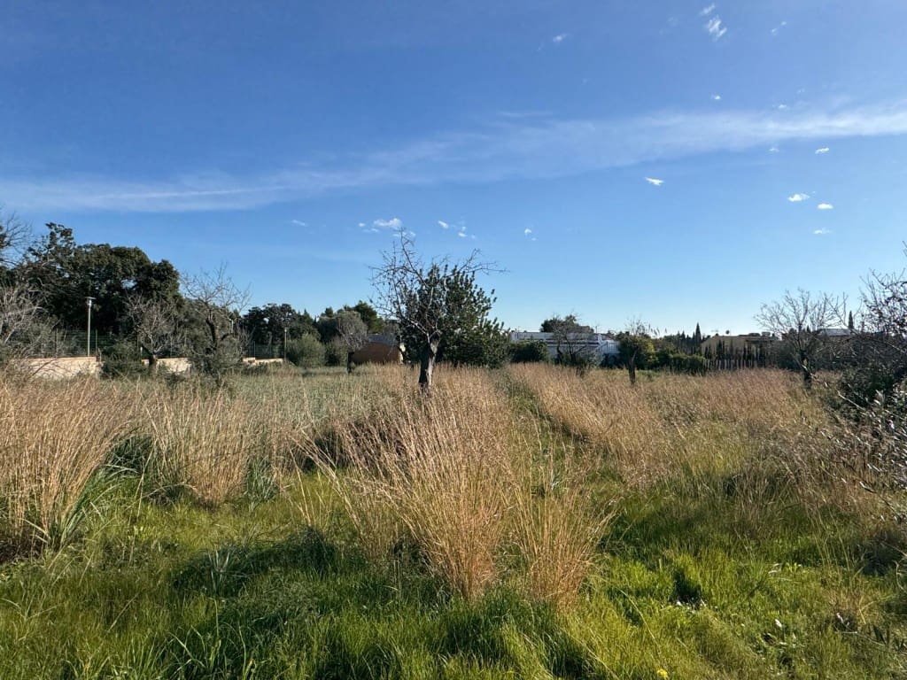 Ubebygd land til salgs i Marratxi - € 220 000 (Ref: 9512076)