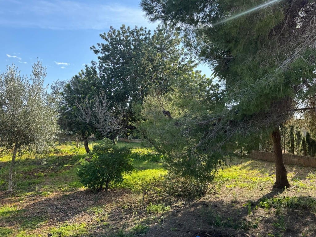 Ubebygd land til salgs i Marratxi - € 220 000 (Ref: 9512076)