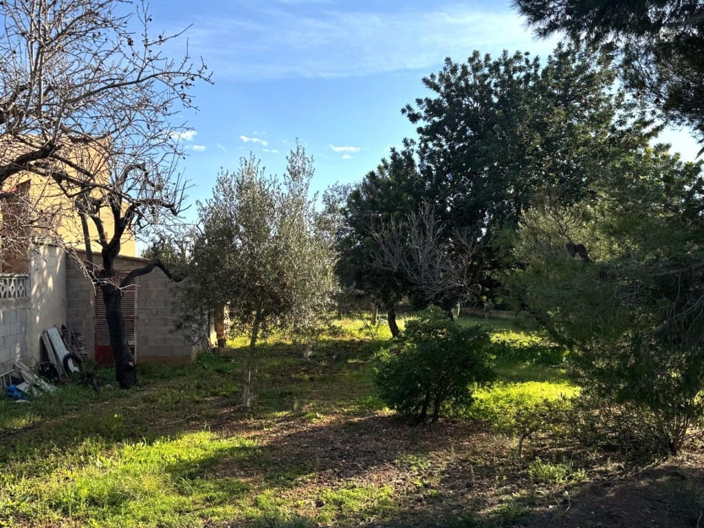 Ubebygd land til salgs i Marratxi - € 220 000 (Ref: 9512076)