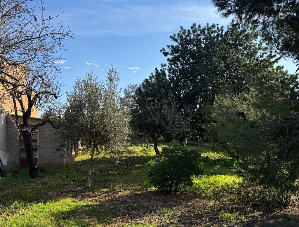 Ubebygd land til salgs i Marratxi - € 220 000 (Ref: 9512076)