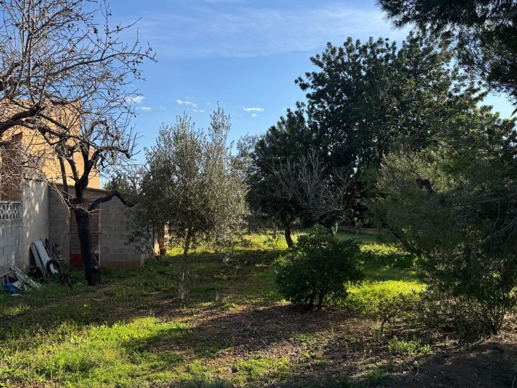 Ubebygd land til salgs i Marratxi - € 220 000 (Ref: 9512076)