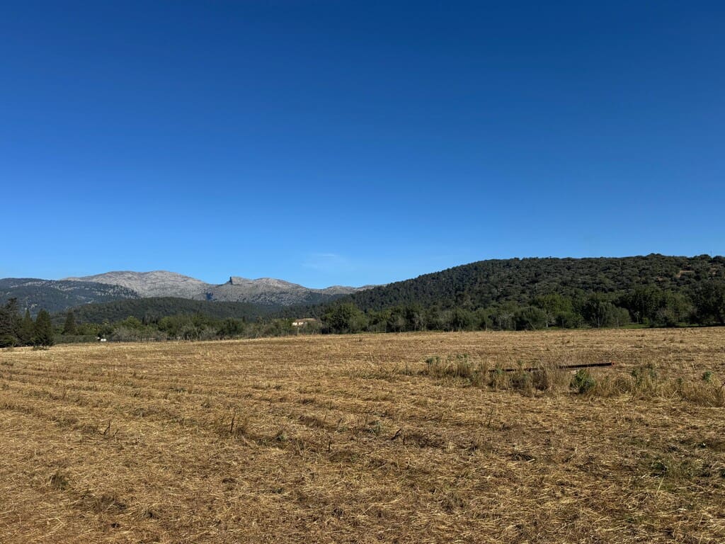 4 bedroom Finca/Country House for sale in Campanet with pool - € 420,000 (Ref: 9698128)