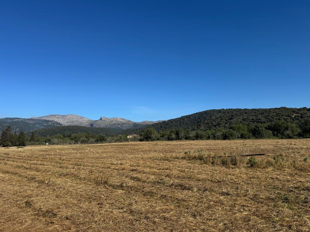 4 bedroom Finca/Country House for sale in Campanet with pool - € 420,000 (Ref: 9698128)