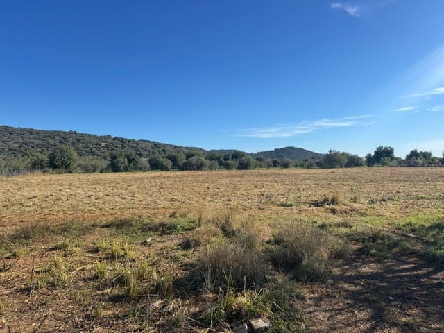 4 chambre Finca/Maison de Campagne à vendre à Campanet avec piscine - 420 000 € (Ref: 9698128)