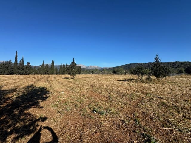 4 chambre Finca/Maison de Campagne à vendre à Campanet avec piscine - 420 000 € (Ref: 9698128)