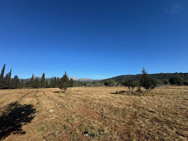 4 chambre Finca/Maison de Campagne à vendre à Campanet avec piscine - 420 000 € (Ref: 9698128)