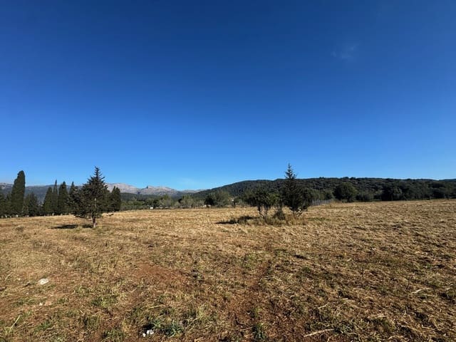 4 chambre Finca/Maison de Campagne à vendre à Campanet avec piscine - 420 000 € (Ref: 9698128)