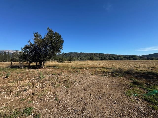 4 chambre Finca/Maison de Campagne à vendre à Campanet avec piscine - 420 000 € (Ref: 9698128)