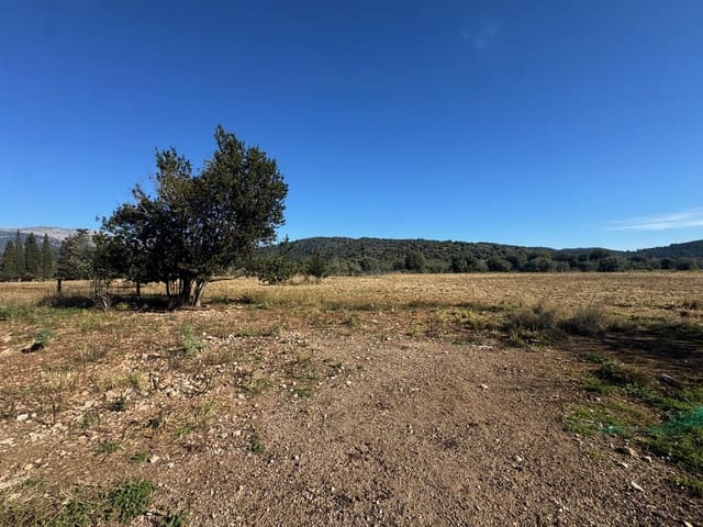 4 chambre Finca/Maison de Campagne à vendre à Campanet avec piscine - 420 000 € (Ref: 9698128)