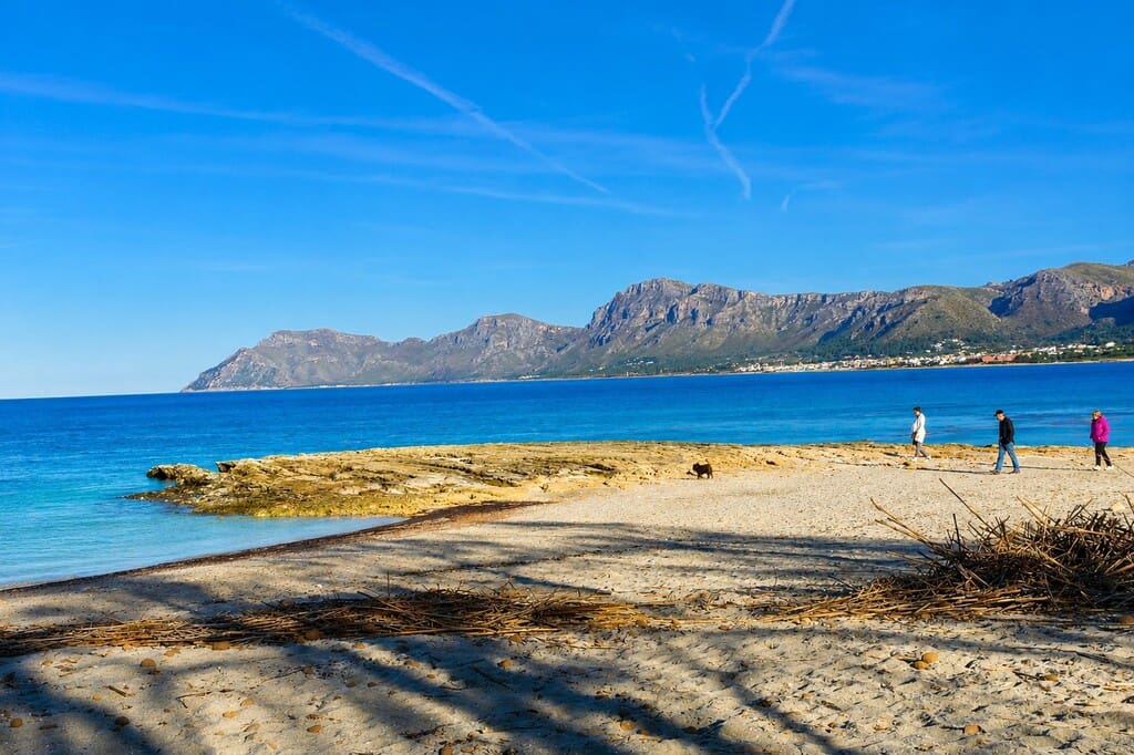 Landgrundstück zu verkaufen in Son Serra de Marina - 260.000 € (Ref: 9875796)