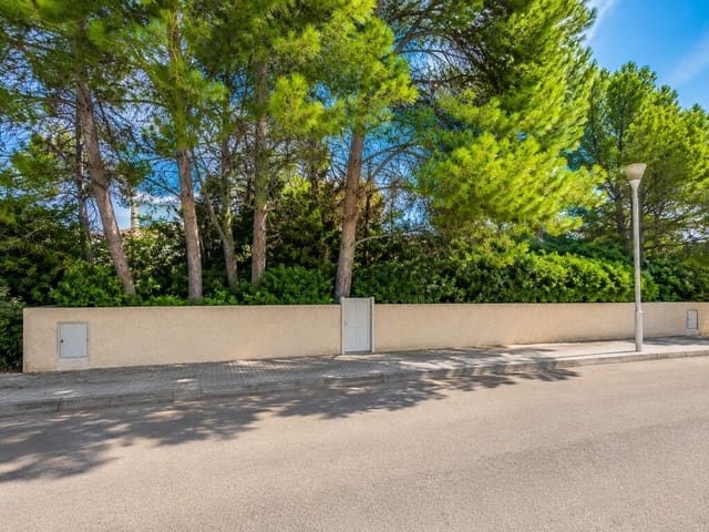 Landgrundstück zu verkaufen in Son Serra de Marina, Santa Margalida - 260.000 € (Ref: 9875796)