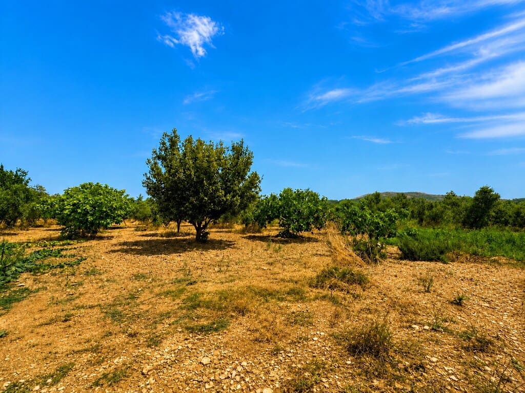 Grond te koop in Alcudia - € 550.000 (Ref: 9990332)