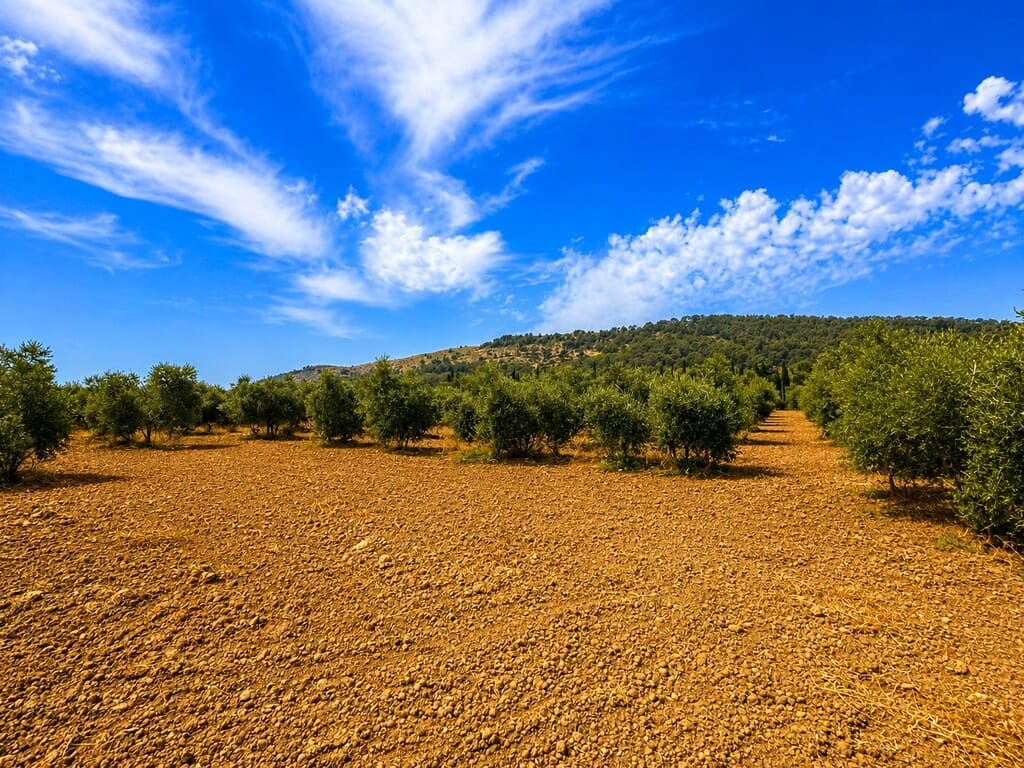 Grond te koop in Alcudia - € 550.000 (Ref: 9990332)