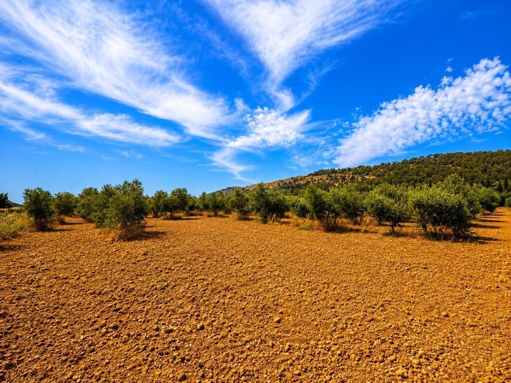 Grond te koop in Alcudia - € 550.000 (Ref: 9990332)