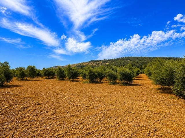Grond te koop in Alcúdia - € 550.000 (Ref: 9990332)