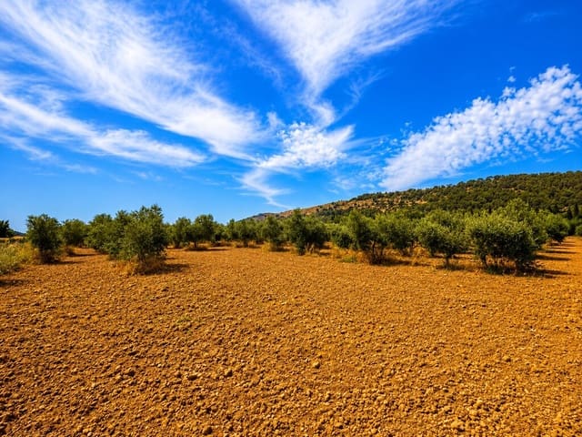 Grond te koop in Alcúdia - € 550.000 (Ref: 9990332)