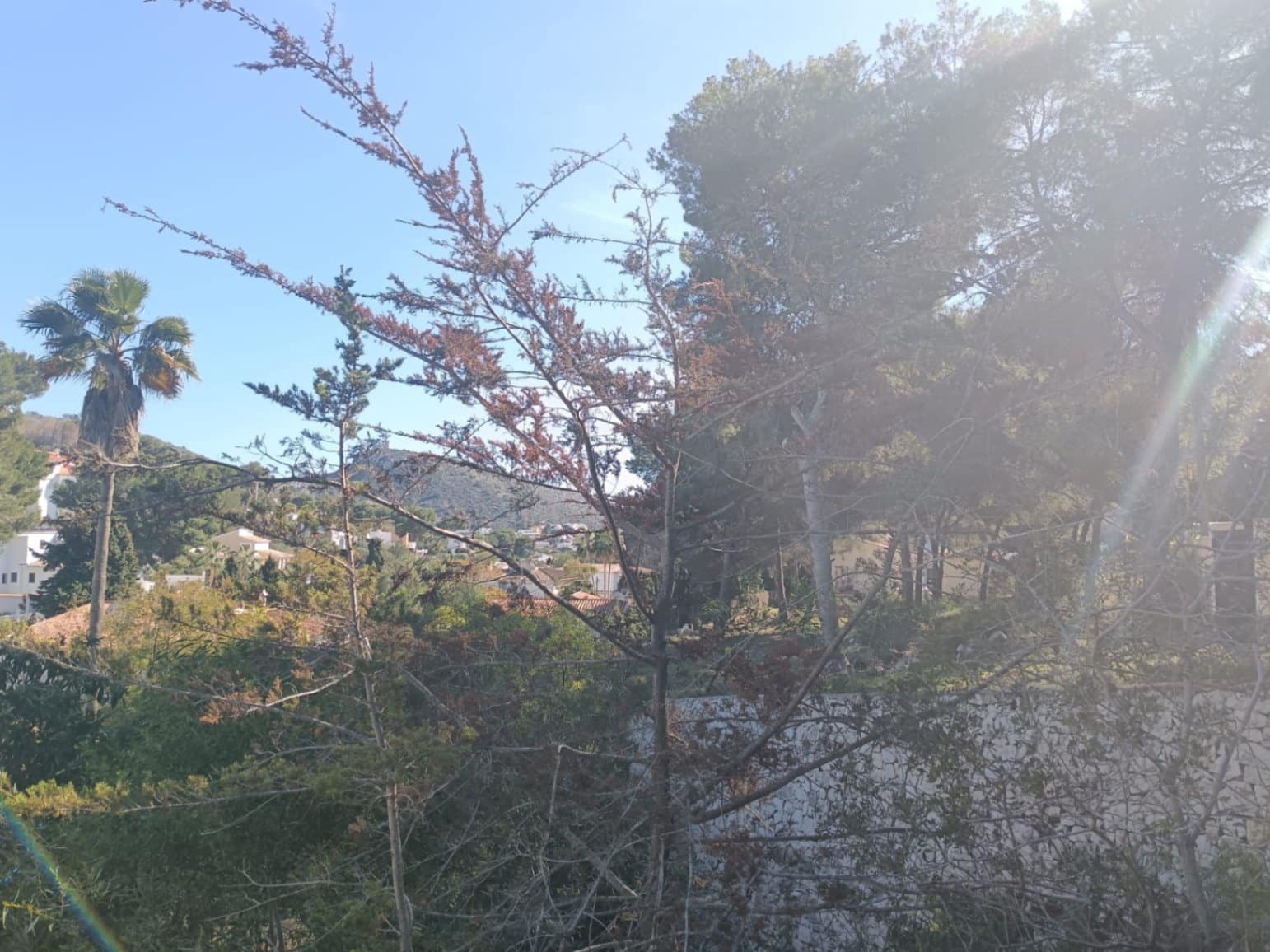 3 sypialnia Willa na sprzedaż w Moraira z basenem garażem - 1 500 000 € (Ref: 9049961)