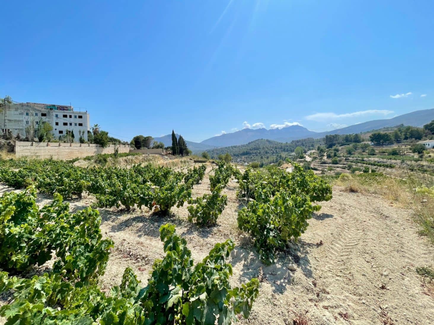 Byggegrund til salg i Benissa - € 199.000 (Ref: 9109306)