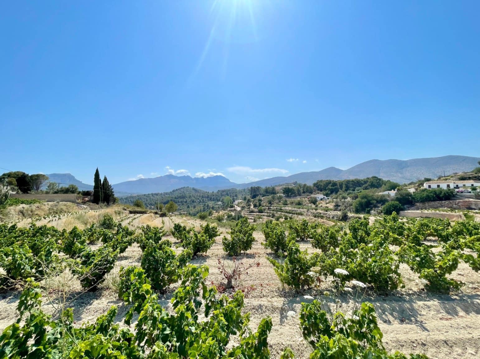 Byggegrund til salg i Benissa - € 199.000 (Ref: 9109306)