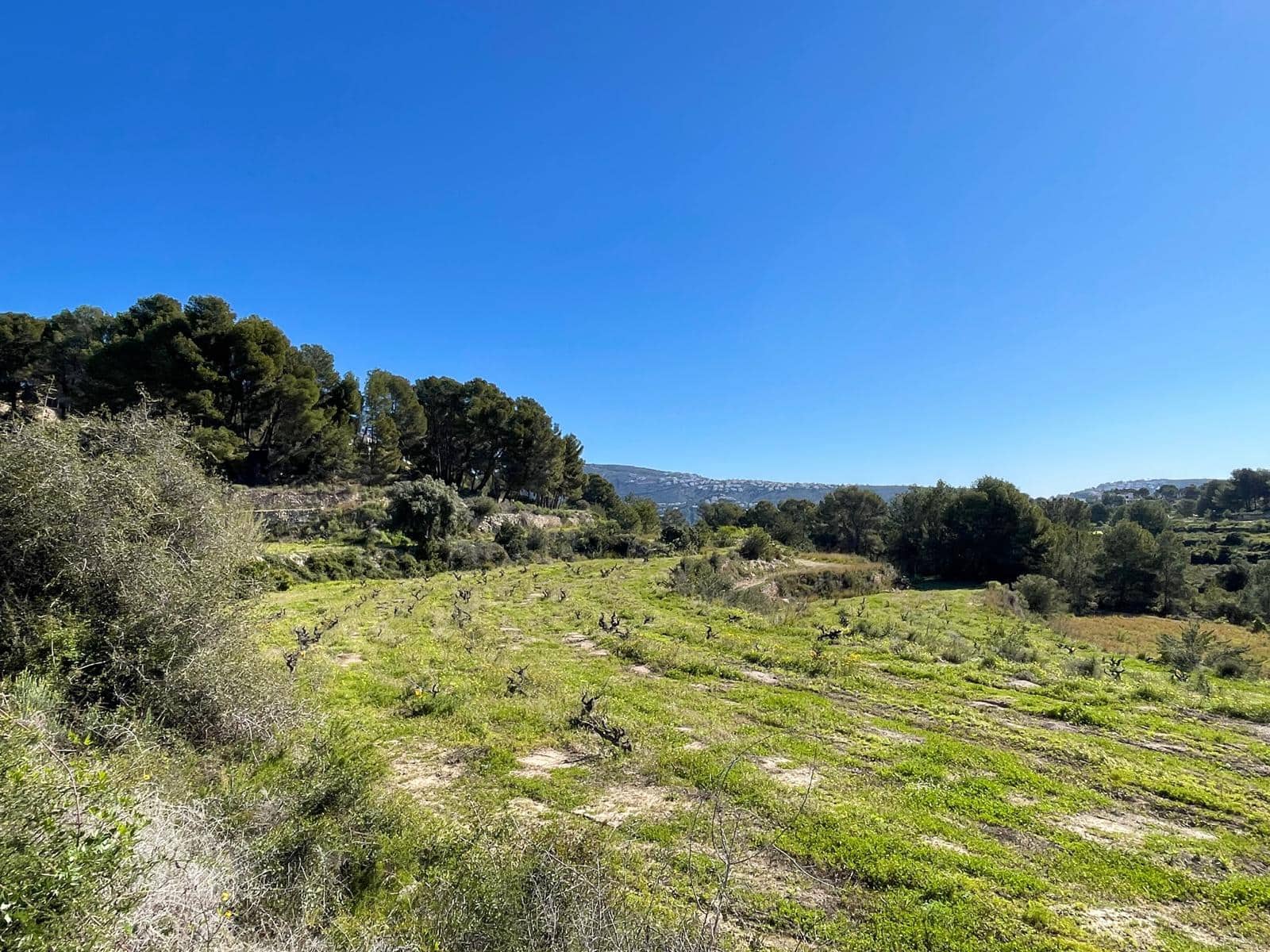 Building Plot for sale in Teulada - € 400,000 (Ref: 9547137)