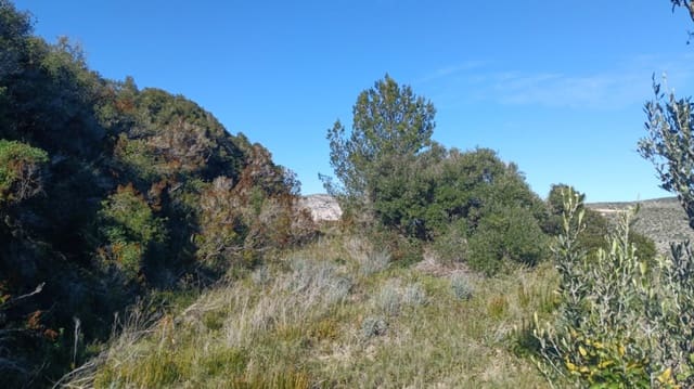 Byggegrund til salg i Teulada Pueblo, Teulada-Moraira - € 520.000 (Ref: 9547138)