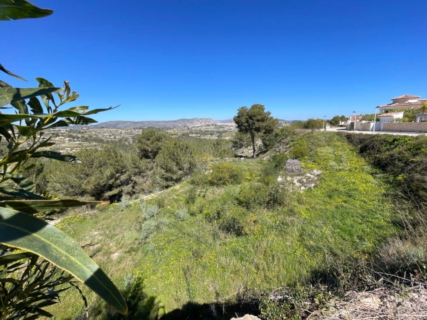 Byggegrund til salg i Teulada - € 160.000 (Ref: 9547140)