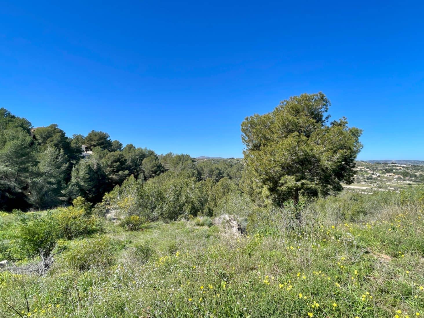 Byggegrund til salg i Teulada - € 160.000 (Ref: 9547140)