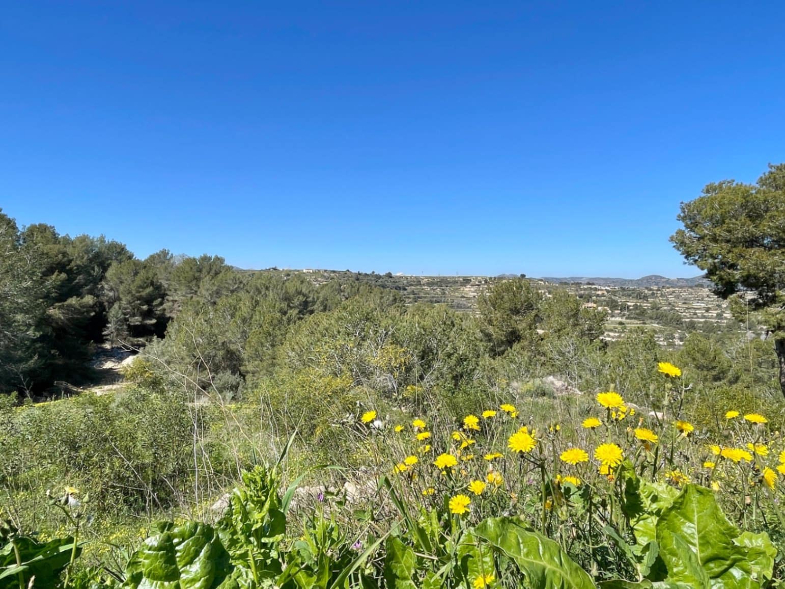 Byggegrund til salg i Teulada - € 160.000 (Ref: 9547140)