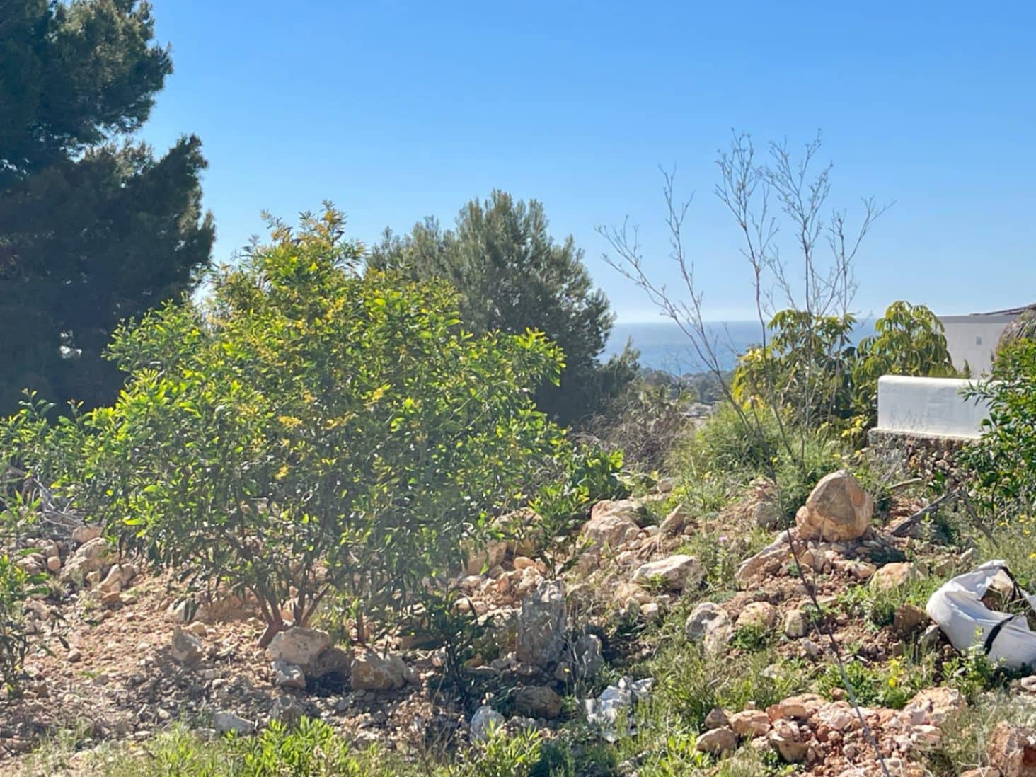 Byggegrund til salg i Teulada - € 480.000 (Ref: 9707762)